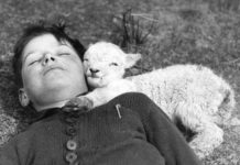 Friant Water Authority October 26, 2017