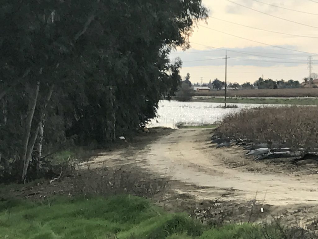 Recharge Enhancement System: Help for SGMA? - Water Wrights