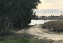 Temp Flat October 13, 2017