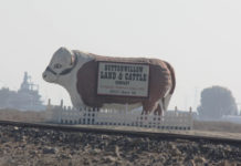 Buena Vista Water Storage District April 17, 2019