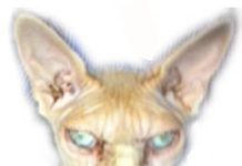 California Water Commission December 14, 2017