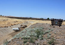 Westlands Water District CWF Presentation August 22, 2017