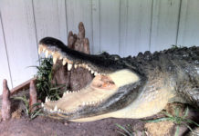 Fresno Irrigation District October 17, 2017