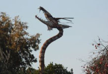 Fresno Irrigation District March 19, 2019