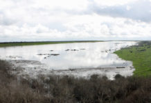 Western Canal Water District, June 16, 2020