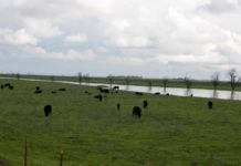 Easter Tule GSA Stakeholder Committee October 11, 2018