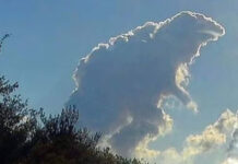 State Board Workshop November 27, 2017