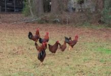 Kaweah Delta Water Conservation District August 7, 2018