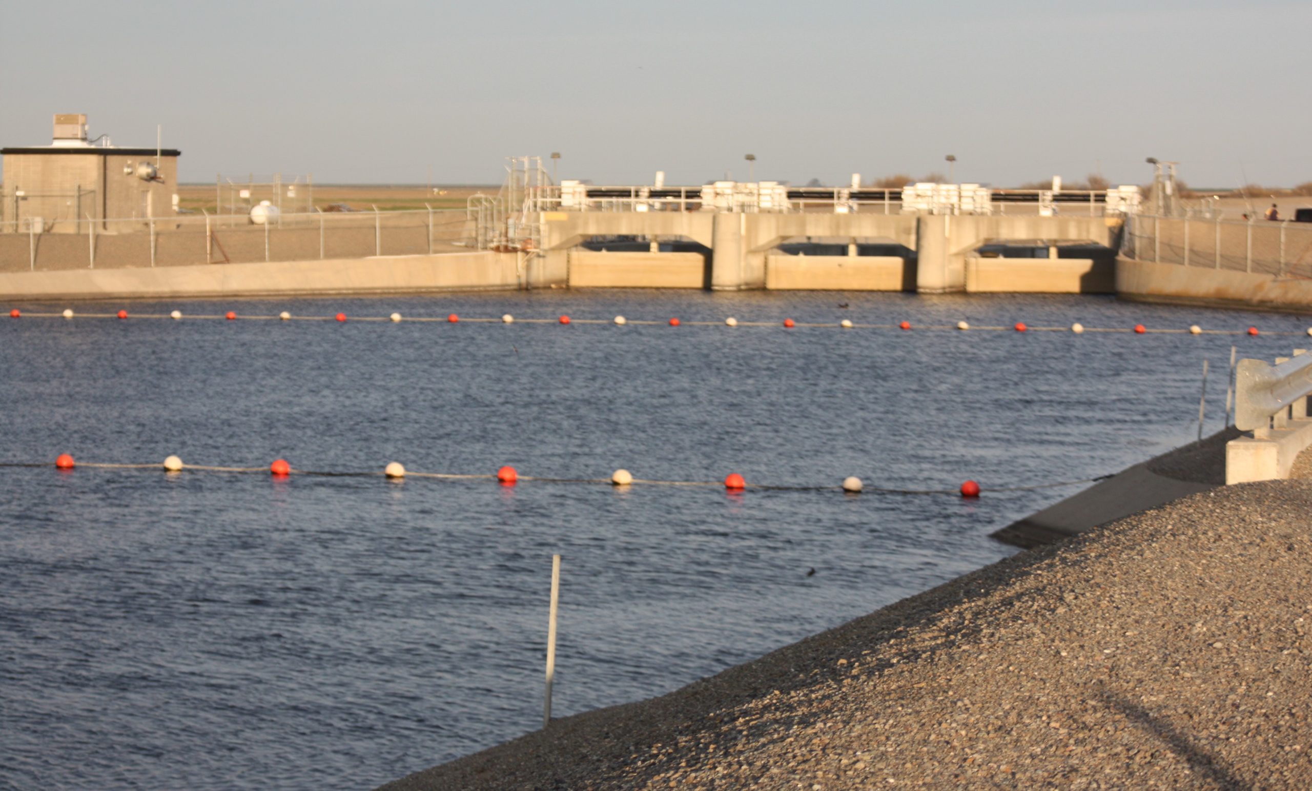 Westlands Water District May 16, 2023 Water Wrights