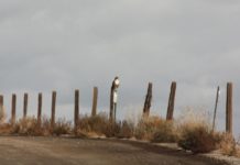 Madera Regional Water Management Group January 27, 2020