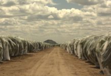 Fresno Irrigation District August 18, 2020