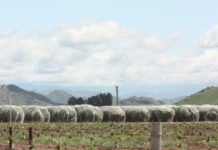 LTRID/Pixley ID Groundwater Planning Commission December 18, 2018