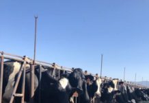 Tulare Irrigation District May 11, 2021