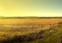 Westlands Water District November 20, 2018