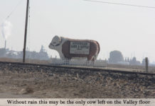 Buena Vista Water Storage District December 4, 2018