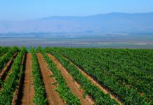 Kern Groundwater Authority May 22, 2019