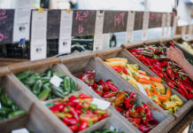 Fresno Irrigation District January 15, 2019