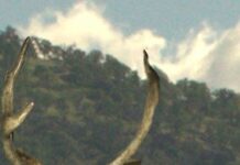 North Kings GSA October 24, 2019