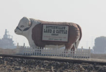 Buena Vista Water Storage District July 21, 2021