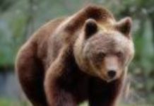 Tehama Colusa Canal Authority March 4, 2020