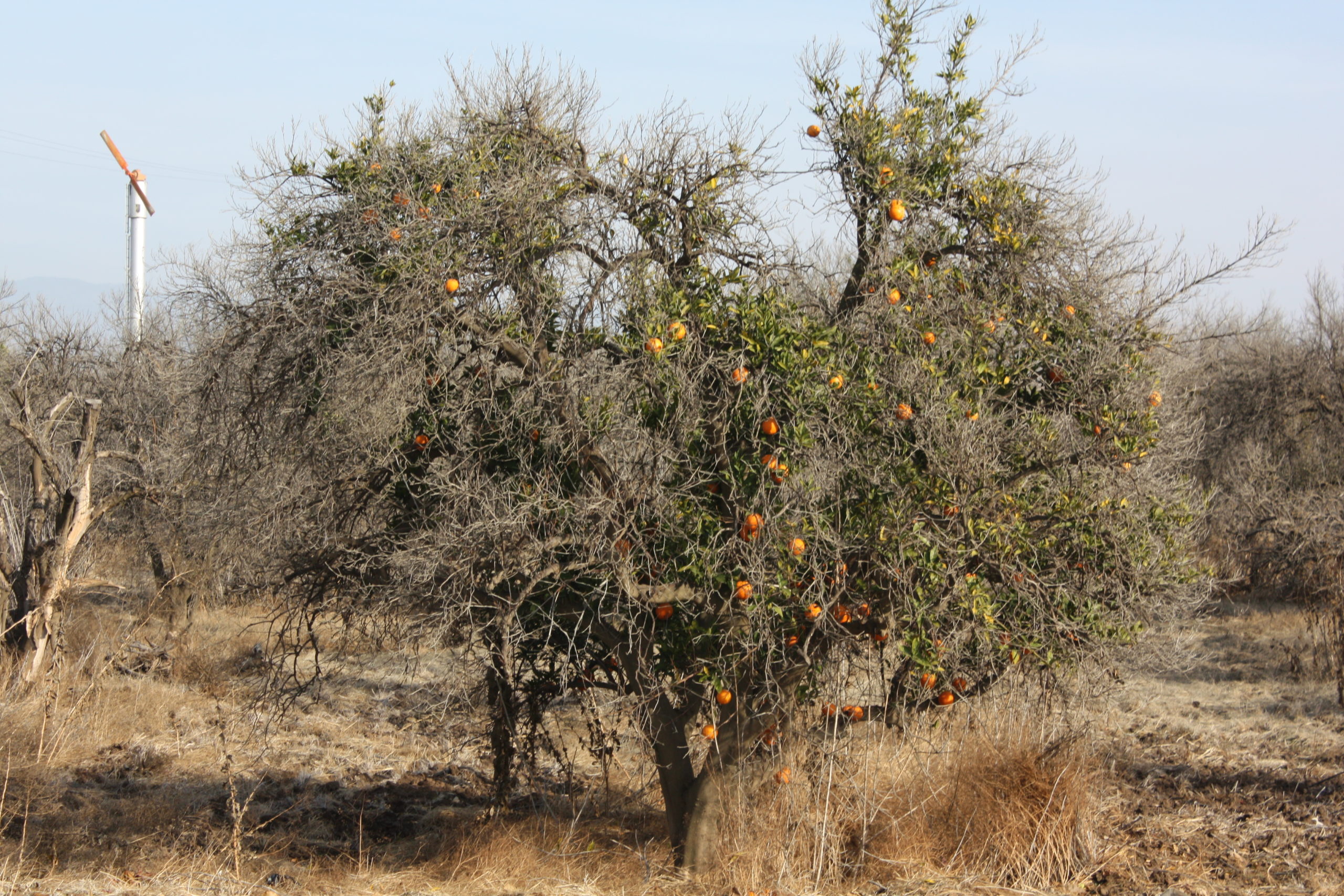 East Kaweah GSA January 22, 2024