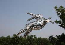 Ask An Enviro Volume One June 11, 2020