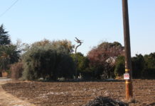 McMullin Area Groundwater Sustainability Agency February 3, 2021