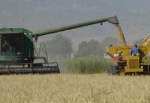 Glenn Colusa Irrigation District August 19, 2021