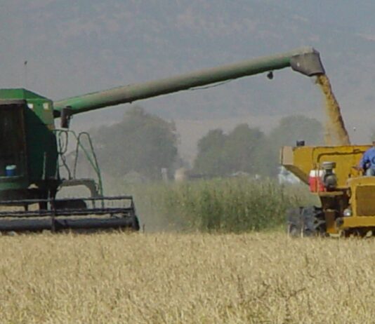 Glenn Colusa Irrigation Board of Directors Meeting September 18, 2025