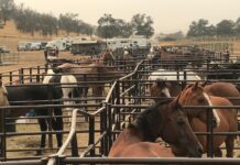 Madera Irrigation District Regular Board and GSA Board Meeting December 15, 2020