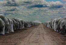 Kings River Water Association April 19, 2022