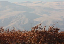 Semitropic Water Storage District November 10, 2021