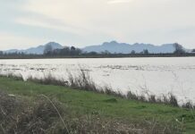 Western Canal Water District July 20, 2021