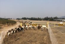 Friant Water Authority June 22, 2023