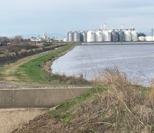 Western Canal Water District August 17, 2021