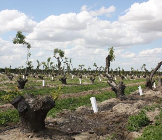 Months Earlier Than B-120 Guidance, CRAFT Is Changing Reservoir Forecasting, August 13, 2025