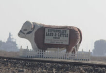 Buena Vista Water Storage District January 18, 2023