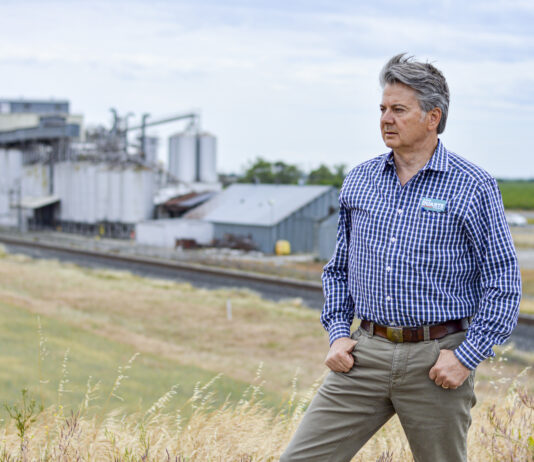 Folsom South Canal November 4, 2024