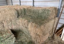 San Luis Delta Mendota Water Authority March 9, 2023