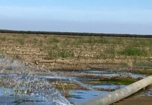 Westlands Water District October 15, 2024