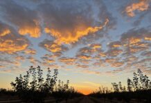 Westlands Water District October 17, 2023