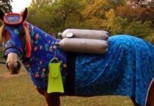 Yay for Bad Government! Unless… November 27, 2023