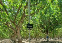 Chowchilla Water District Board of Directors, August 13, 2025