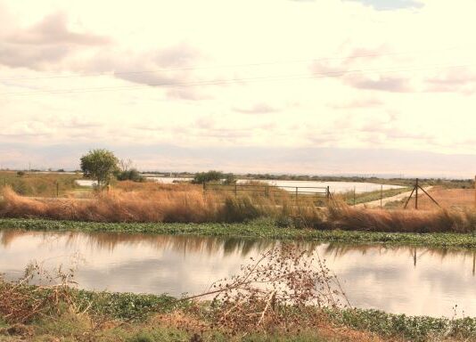 Kern Water Bank Authority July 11, 2023