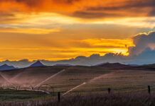 How California Water Can Navigate a Changing Federal Partnership, November 26, 2025 WaterWrights.net Login