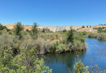 Blueprint Response to State Board Draft Report, February 7, 2024 Friant Dam