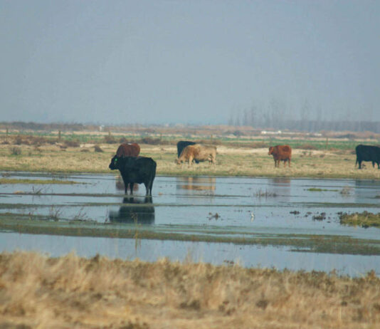 Chowchilla Water District, July 15, 2026