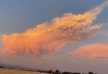 Madera County GSA Committee Meeting – June 3, 2025