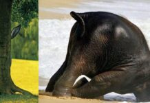 State Senate Committee SGMA Hearing Part Two March 11, 2025