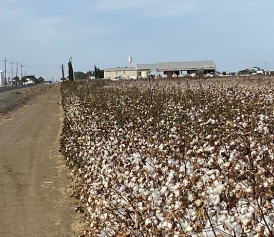 Westlands Water District March 17, 2026